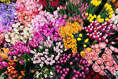 《星球大战：法外狂徒》新截图 死亡士兵登场亮相